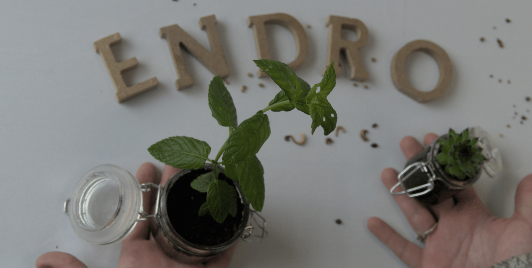 Endro participe Ă des projets de reforestation đł - Endro Cosmetiques