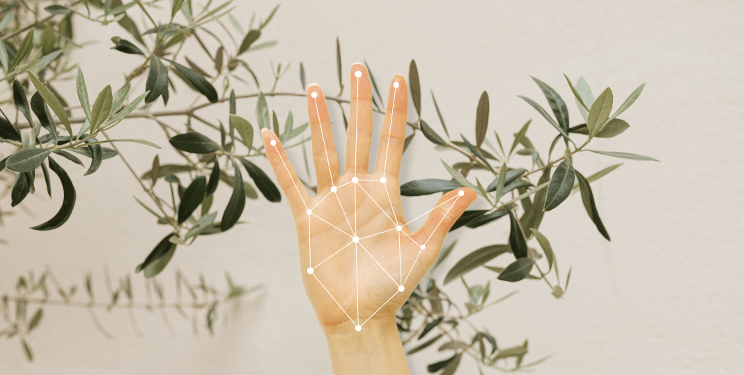 La réflexologie plantaire et palmaire : un rituel bien-être à portée de main - Endro Cosmetiques