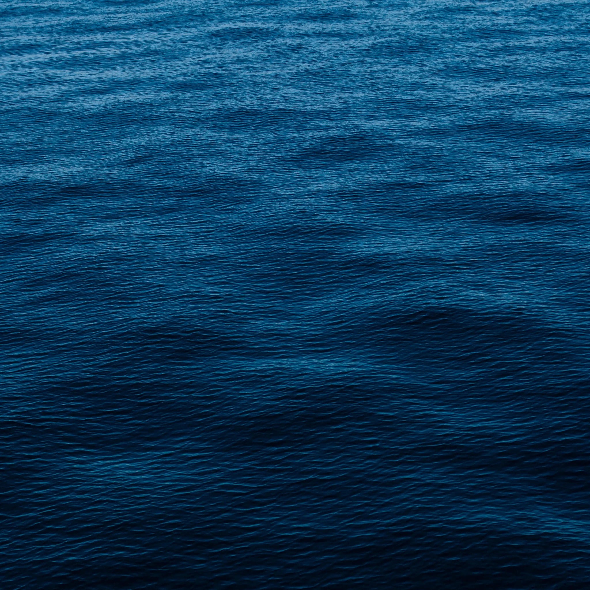 Crème Mains et Ongles - Endro Cosmetiques